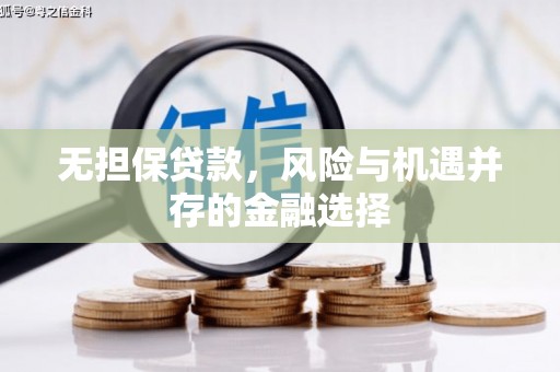王益无担保贷款，风险与机遇并存的金融选择
