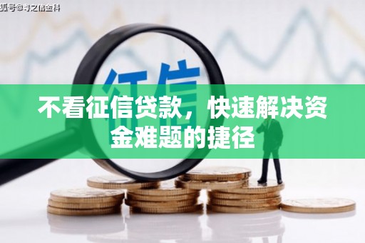 延津不看征信贷款，快速解决资金难题的捷径