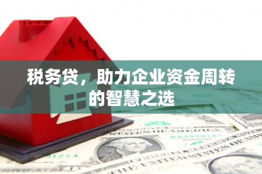 吴堡税务贷，助力企业资金周转的智慧之选