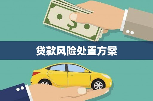 圣安多尼堂区贷款风险处置方案