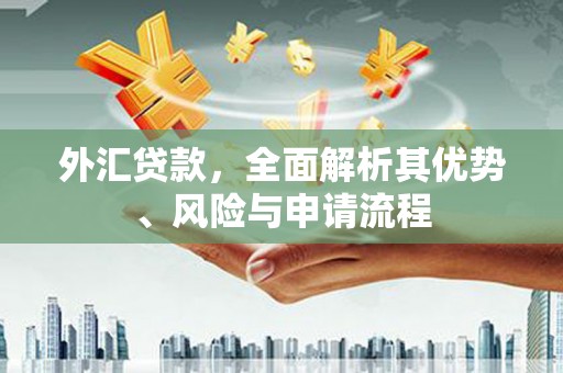 海宁外汇贷款，全面解析其优势、风险与申请流程