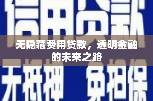 定陶无隐藏费用贷款，透明金融的未来之路