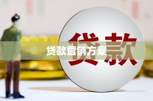 凤城贷款营销方案
