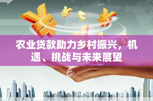 昭化农业贷款助力乡村振兴，机遇、挑战与未来展望