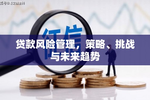 保税区贷款风险管理，策略、挑战与未来趋势