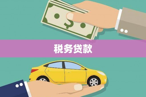 嵩县税务贷款