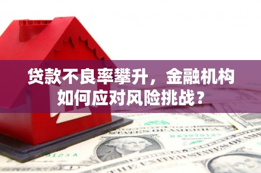 颍泉贷款不良率攀升，金融机构如何应对风险挑战？