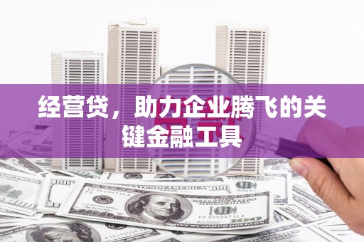 龙岗经营贷，助力企业腾飞的关键金融工具