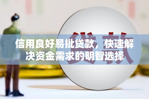巴青信用良好易批贷款，快速解决资金需求的明智选择