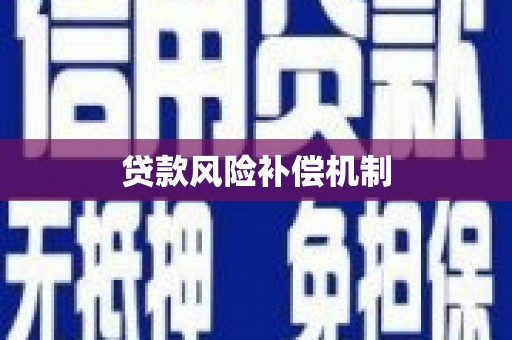 葫芦岛贷款风险补偿机制