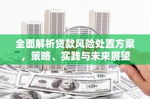 田家庵全面解析贷款风险处置方案，策略、实践与未来展望