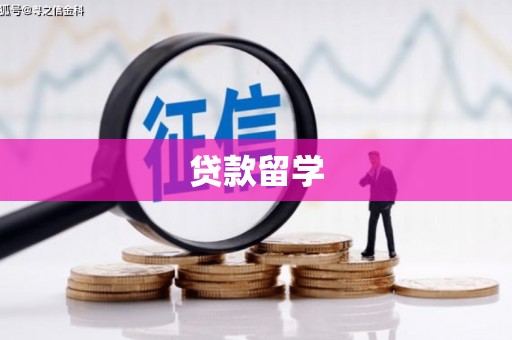 东丰贷款留学