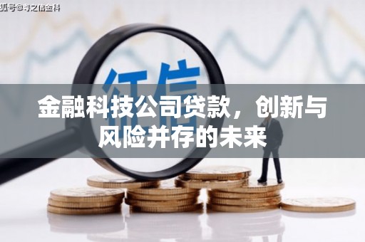 乐清金融科技公司贷款，创新与风险并存的未来