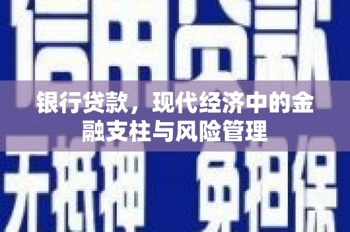永川银行贷款，现代经济中的金融支柱与风险管理