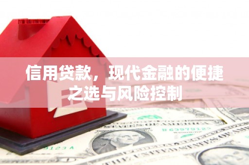 横山信用贷款，现代金融的便捷之选与风险控制