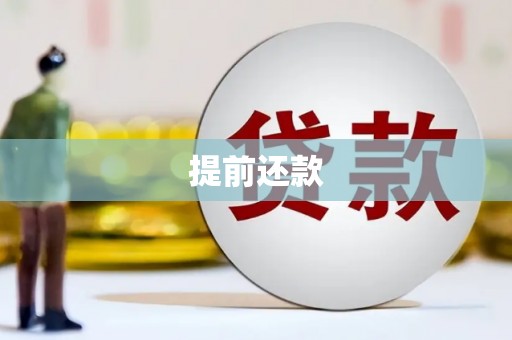舞阳提前还款