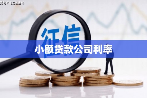 双城小额贷款公司利率