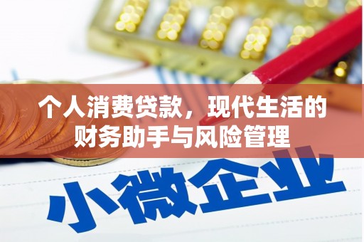 彝良个人消费贷款，现代生活的财务助手与风险管理