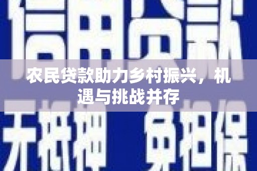 灵武农民贷款助力乡村振兴，机遇与挑战并存