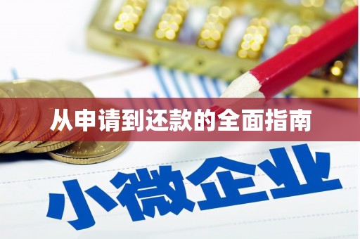 大观从申请到还款的全面指南