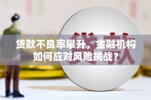 汾西贷款不良率攀升，金融机构如何应对风险挑战？