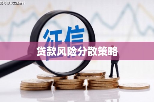 杂多贷款风险分散策略