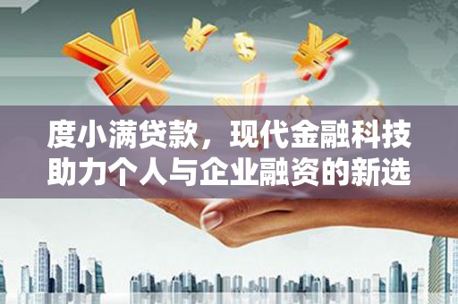 普湾新区度小满贷款，现代金融科技助力个人与企业融资的新选择
