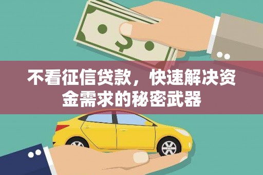 宽甸不看征信贷款，快速解决资金需求的秘密武器