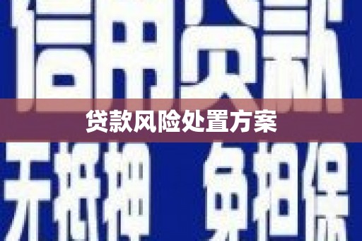 柳营贷款风险处置方案