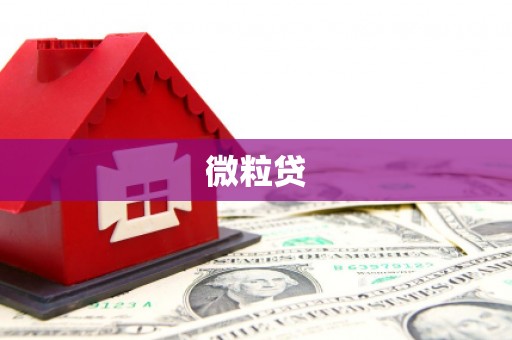 细河微粒贷