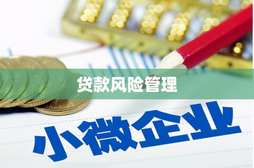 西充贷款风险管理
