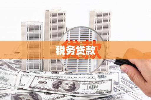 荥经税务贷款