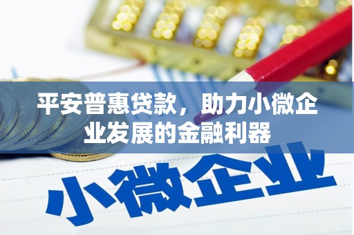 燕巢平安普惠贷款，助力小微企业发展的金融利器