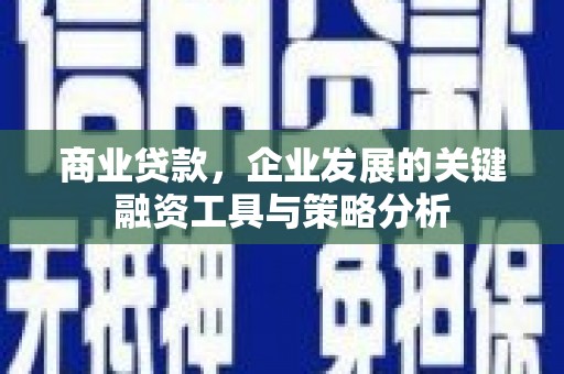 皇姑商业贷款，企业发展的关键融资工具与策略分析