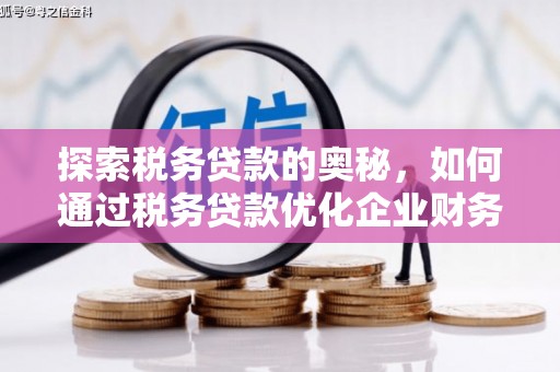 麟洛探索税务贷款的奥秘，如何通过税务贷款优化企业财务