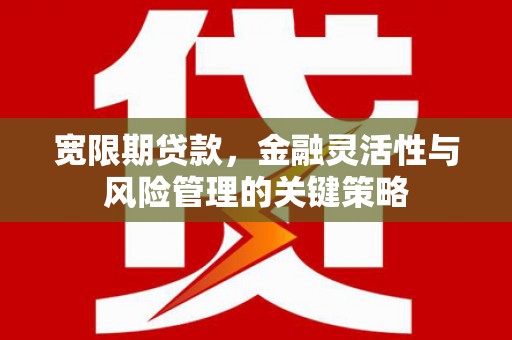 互助宽限期贷款，金融灵活性与风险管理的关键策略