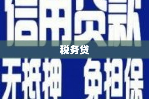 甘谷税务贷
