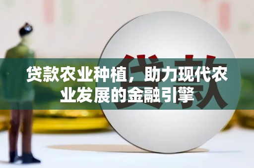 绥中贷款农业种植，助力现代农业发展的金融引擎