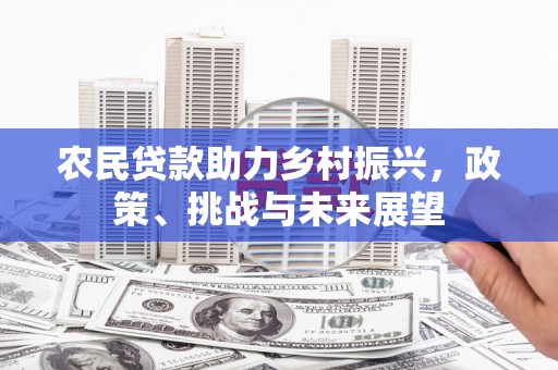 定安农民贷款助力乡村振兴，政策、挑战与未来展望