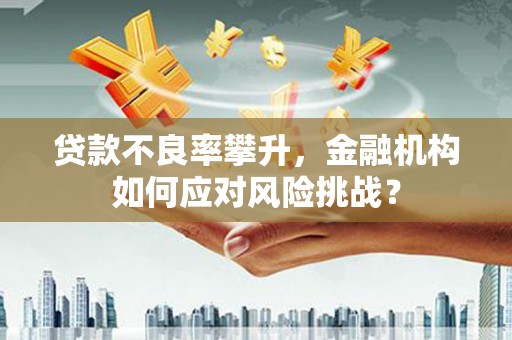 孟村贷款不良率攀升，金融机构如何应对风险挑战？