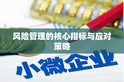 抚州风险管理的核心指标与应对策略