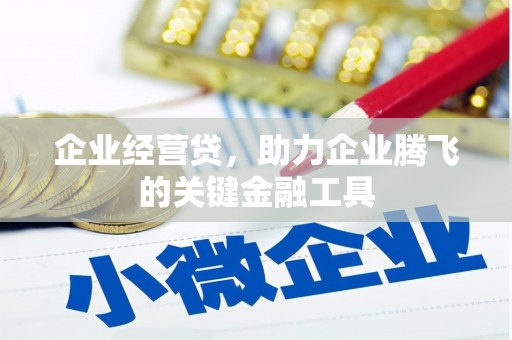 润州企业经营贷，助力企业腾飞的关键金融工具