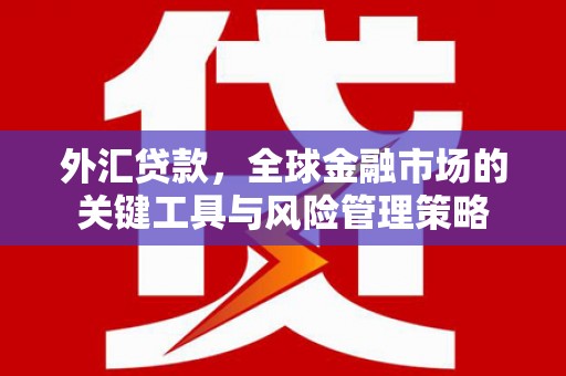 关岭外汇贷款，全球金融市场的关键工具与风险管理策略
