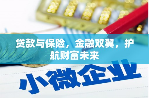 布袋贷款与保险，金融双翼，护航财富未来