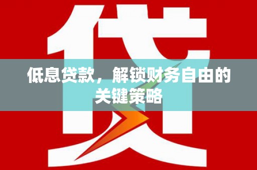 金湖低息贷款，解锁财务自由的关键策略