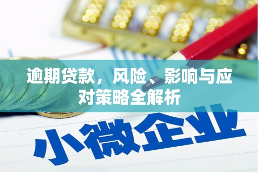 金城逾期贷款，风险、影响与应对策略全解析