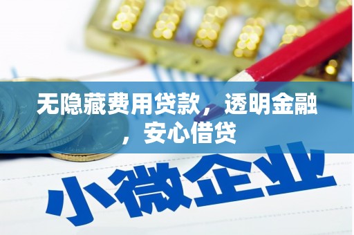 墨竹工卡无隐藏费用贷款，透明金融，安心借贷