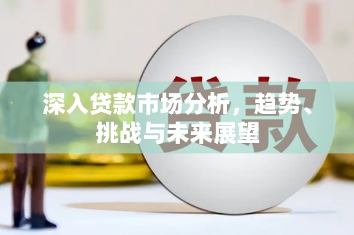 漾濞深入贷款市场分析，趋势、挑战与未来展望