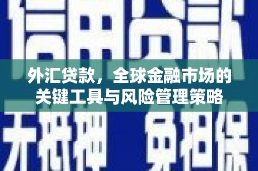 盐边外汇贷款，全球金融市场的关键工具与风险管理策略
