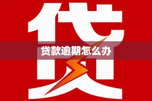 君山贷款逾期怎么办